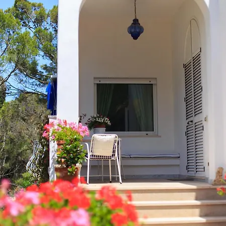 Il Poggio Dei Ciclopi Capri